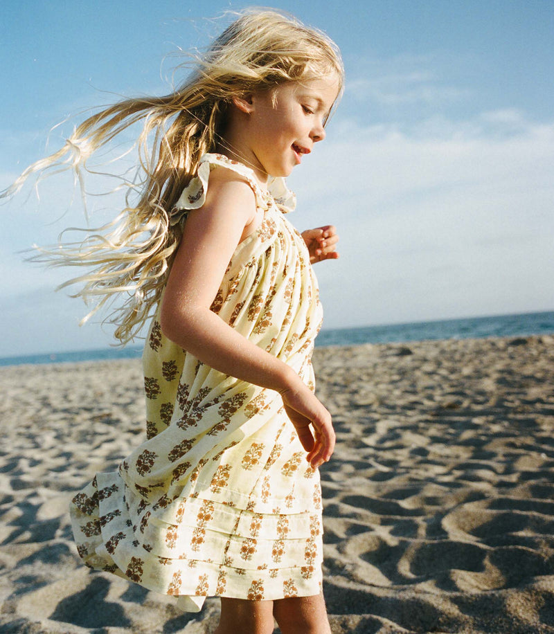 LITTLE NISHA DRESS -- DANDELION GROVE
